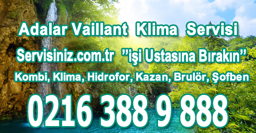 Adalar Vaillant Klima Servisi