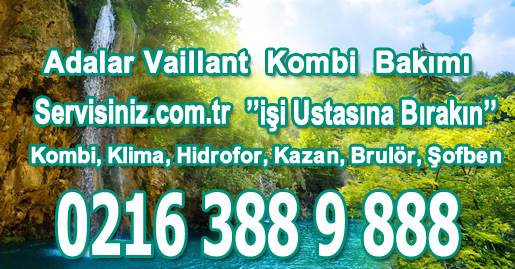 Adalar Vaillant Kombi Bakımı