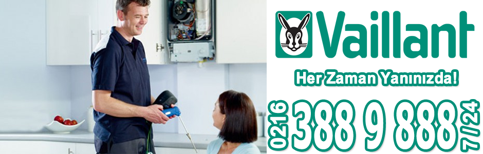 Vaillant Kombi Bakımı